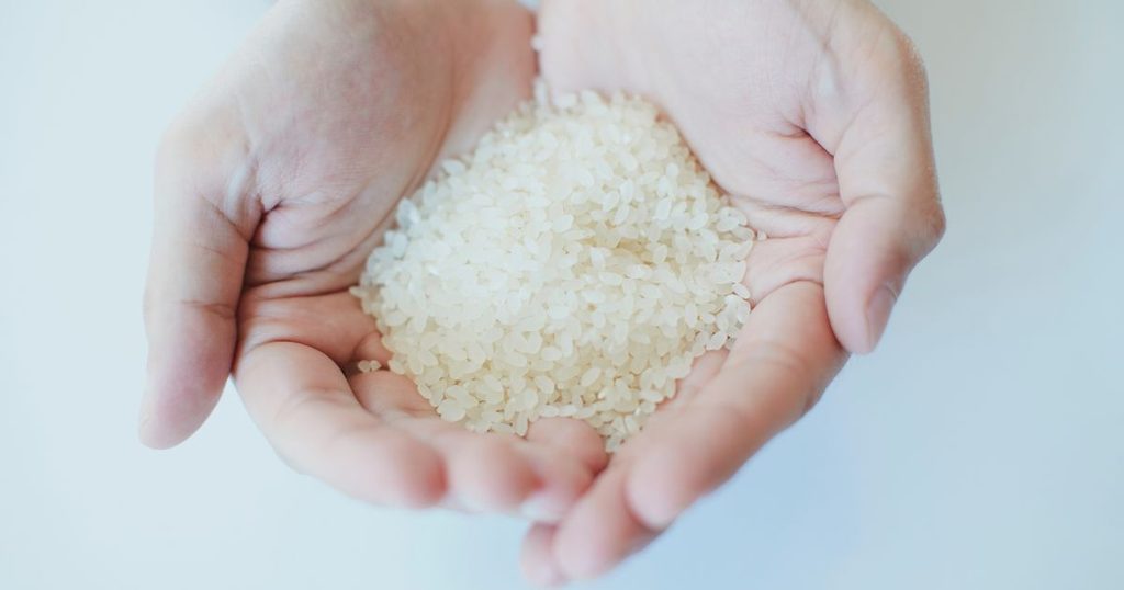 虫がわいたお米の安全性と食べて大丈夫かの判断基準のイメージ画像