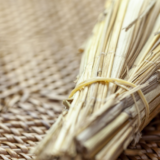納豆のルーツと歴史を徹底解明！起源の諸説から現代の国民食への歩みまで