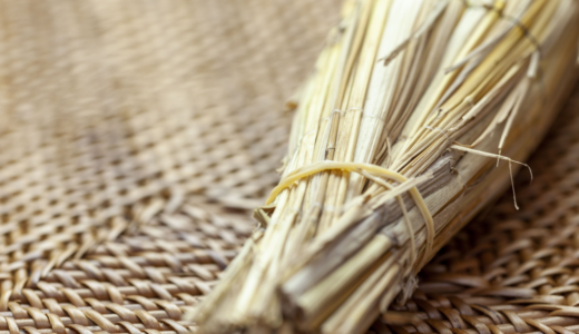 納豆のルーツと歴史を徹底解明！起源の諸説から現代の国民食への歩みまで