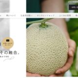 知多半島メロンの極致「璻」｜高級メロンを愛知からお届けする至高の贈り物