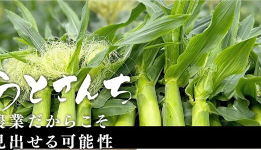 南国鹿児島の恵みが詰まったブランド野菜を届けるうとさんちの魅力